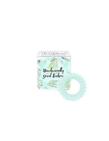 Invisibobble Traceless Circus Collection Hawkwardly 3x OfSt-5176 Invisibobble Hair Clips €5.99 product_reduction_percent€4.83