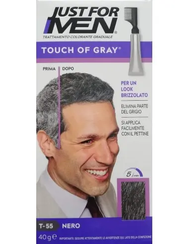 Βαφή Μαλλιών Για Άνδρες Touch of Gray Just For Men T-55 40gr 12312 Just For Men