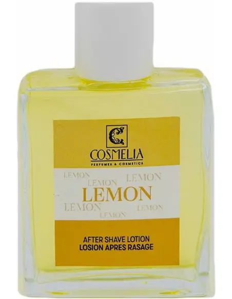 After Shave Lotion Lemon Menounos 100ml 12875 Menounos AfterShave Splash €5.80 product_reduction_percent€4.67