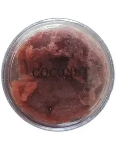 KERKINH Coconut Shaving Soap Sample 8gr OfSt-6282 KERKINH Samples €2.40 €1.94