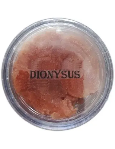 KERKINH Dionysus Shaving Soap Sample 8gr 6996 KERKINH Samples €1.90 €1.53