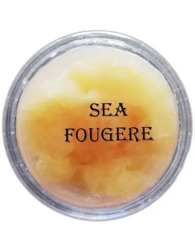 KERKINH Sea Fougere Shaving Soap Sample 8gr OfSt-10950 KERKINH Samples €1.90 €1.53