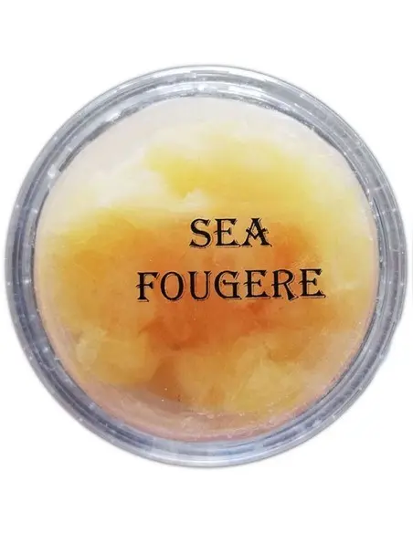 KERKINH Sea Fougere Shaving Soap Sample 8gr OfSt-10950 KERKINH Samples €2.40 €1.94