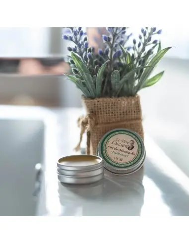 Κερί Για Μουστάκι Traditionnel Le Pere Lucien 15gr 10070 Le pere Lucien