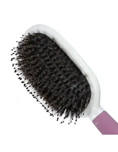 Kent Brushes Small Cushion Bristle Nylon Mix Brush KCR4 14562 Kent Brushes Kent Brushes €12.90 €10.40