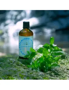 After Shave Lotion Strong Mint Le Pere Lucien 100ml 14599 Le pere Lucien AfterShave Splash €21.90 €17.66 2