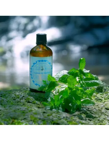 Λοσιόν Μετά Το Ξύρισμα Strong Mint Le Pere Lucien 100ml 14599 Le pere Lucien