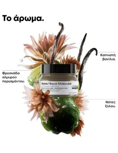 Absolut Repair Molecular Mask L'Oreal Professionnel 500ml 14931 L'Oréal Professionnel Tired Hair €29.20 €23.55