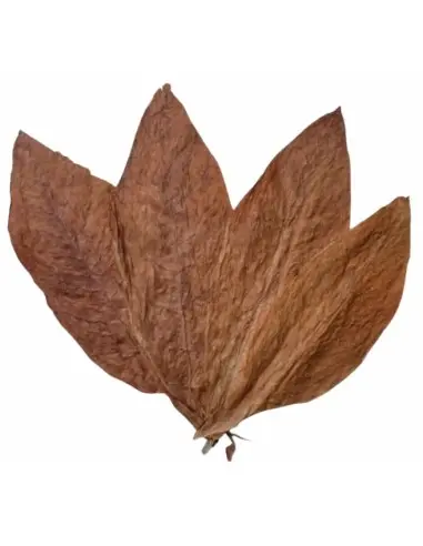 Αποσμητικό Στικ Tobacco Leaf Taylor of Old Bond Street 75ml OfSt-14098 Taylor Of Old Bond Street