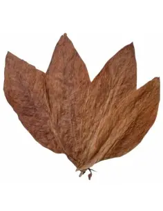 Λοσιόν Μετά Το Ξύρισμα Tobacco Leaf Taylor Of Old Bond Street 50ml 12211 Taylor Of Old Bond Street 2