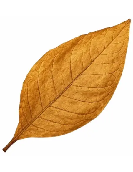 Aftershave Cream Tobacco Leaf Taylor Of Old Bond Street 75ml 15131 Taylor Of Old Bond Street Creme Balm €21.95 product_reduct...