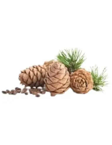 Κρέμα Ξυρίσματος Cedarwood Taylor of Old Bond Street 150g OfSt-2716 Taylor Of Old Bond Street