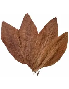 Anti-Bacterial Hand Wash Tobacco Leaf Taylor Of Old Bond Street 250ml 15567 Taylor Of Old Bond Street 2