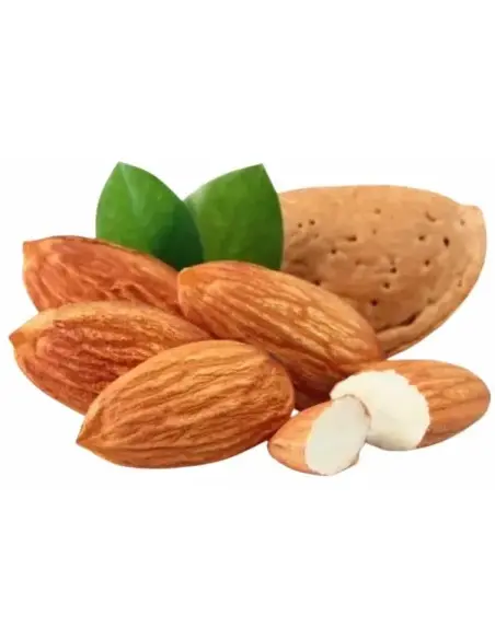 Taylor Of Old Bond Street Κρέμα Ξυρίσματος Almond 150gr 2468 Taylor Of Old Bond Street