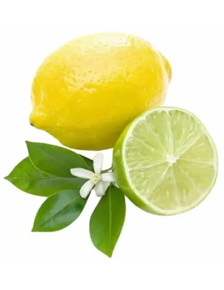 Shaving Cream Eton College Taylor of Old Bond Street 150g 2717 Taylor Of Old Bond Street Shaving Creams €16.95 product_reduct...