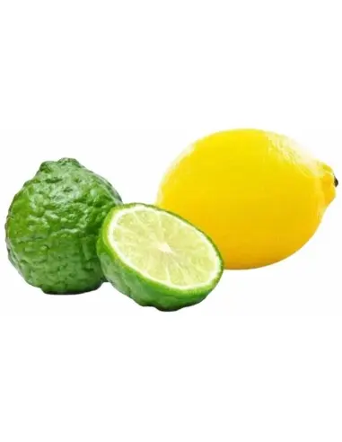 Taylor Of Old Bond Street Jermyn Shaving Cream For Sensitive Skin 75ml 3251 Taylor Of Old Bond Street Shaving Creams €11.95 p...