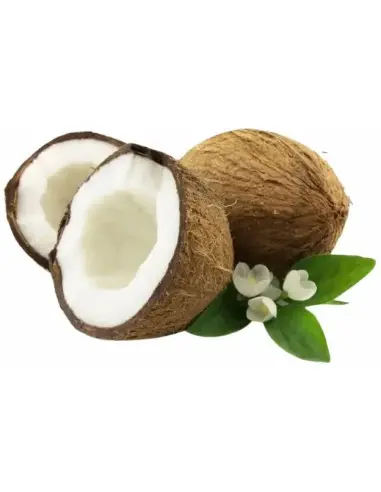 Shaving Cream Coconut Taylor Of Old Bond Street 150gr 5203 Taylor Of Old Bond Street Shaving Creams €16.95 product_reduction_...