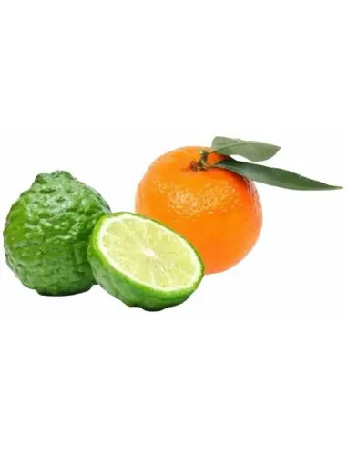 Κρέμα Ξυρίσματος St James Taylor Of Old Bond Street 150gr 7660 Taylor Of Old Bond Street