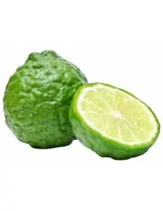 Jermyn Street Pre-Shave Gel Taylor Of Bond Street 50ml 14103 Taylor Of Old Bond Street 2