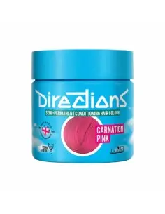 Semi Permanent Hair Colour Carnation Pink La Riche Directions 100ml 13735 La Riche Directions Semi Permanent Hairdyes €7.50 p...
