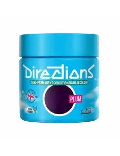 Ημιμόνιμο Χρώμα Μαλλιών Plum La Riche Directions 100ml 13503 La Riche Directions