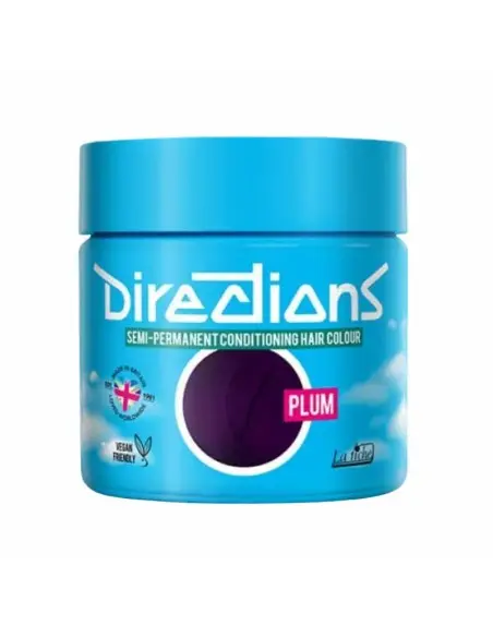 Ημιμόνιμο Χρώμα Μαλλιών Plum La Riche Directions 100ml 13503 La Riche Directions