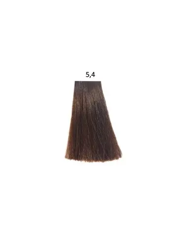 Buy L'oreal INOA Ammonia-free Hair Color - 5.5 (High Resist Light