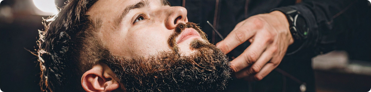 Ιστορία και συναρπαστικά γεγονότα για τα μούσια