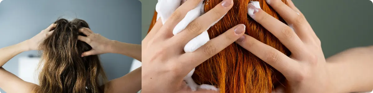 Καλύτερα ξηρά σαμπουάν για φρέσκα μαλλιά με όγκο χωρίς λούσιμο