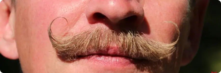 Mustache Wax by HairMaker.Gr