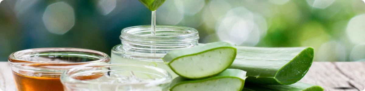 Therapeutic and soothing properties of Aloe Vera