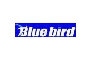 Blue Bird