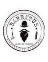 Barbatus